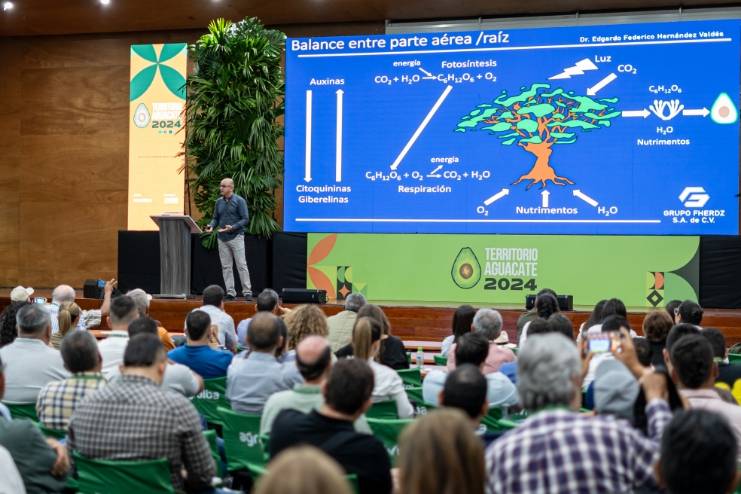 Territorio_Aguacate_2024_Conferencias9618